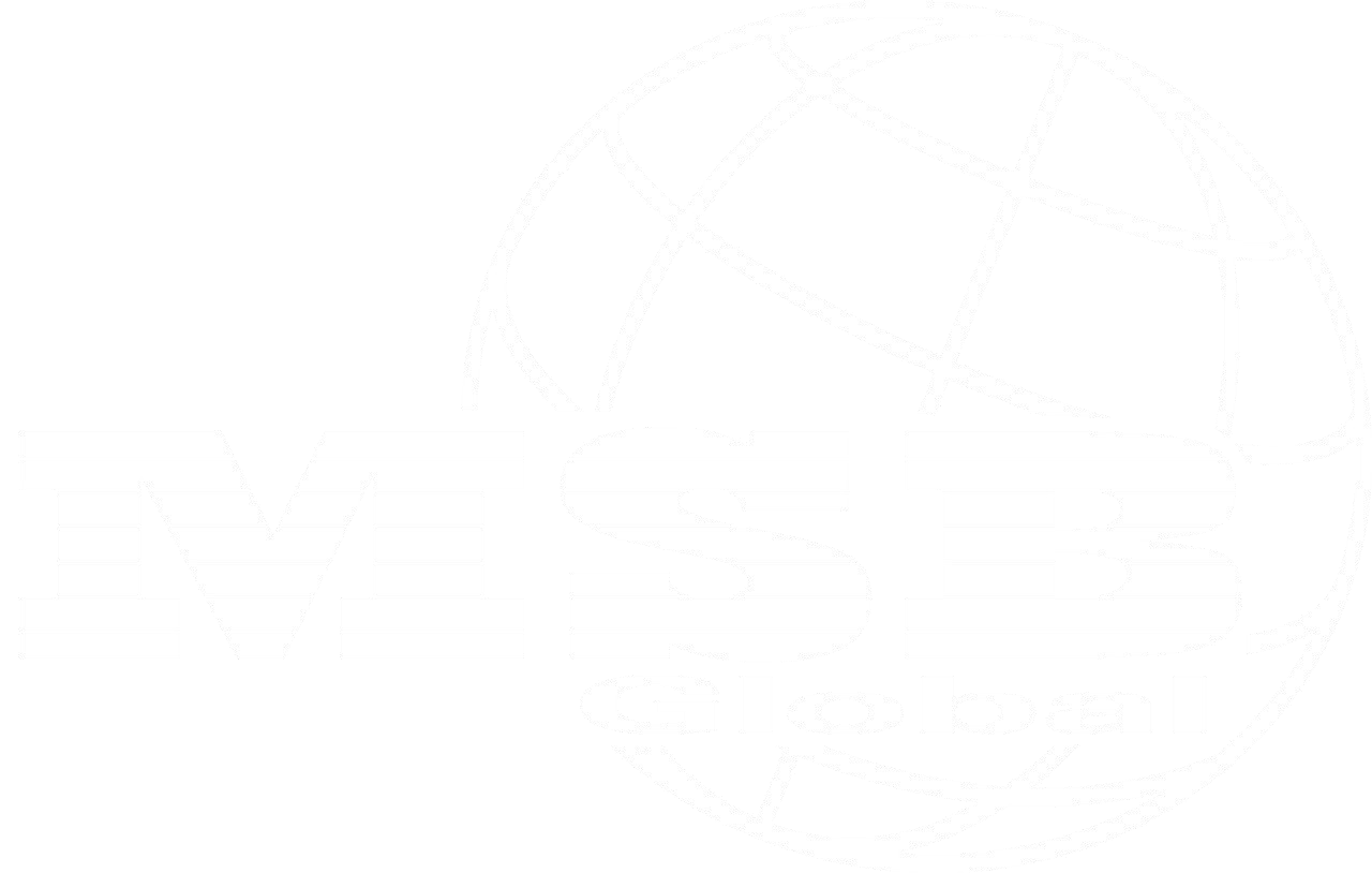 MSB Global Services